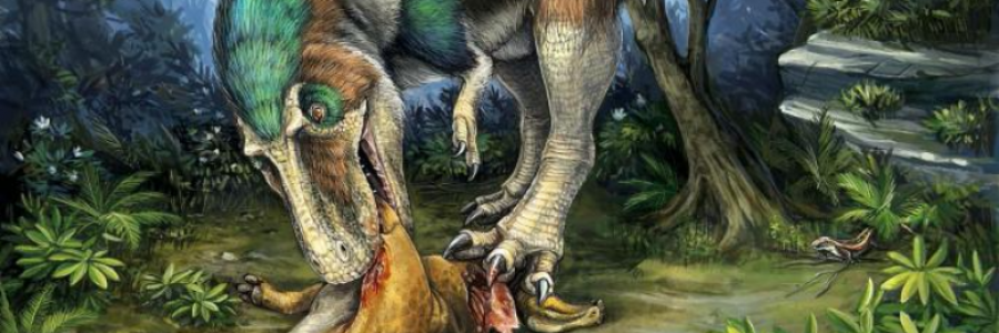 Cover image for post My Word Is..., by Harry_Situation