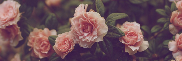 Cover image for post Untitled, by britnee