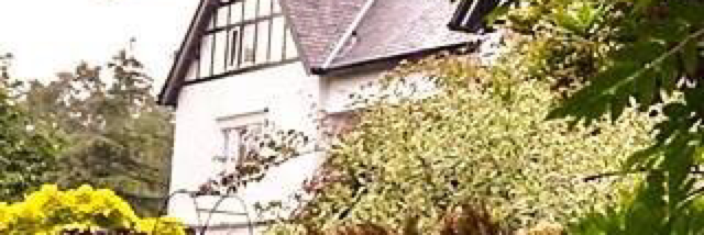 Cover image for post Mystery Mastery, by Yowwa