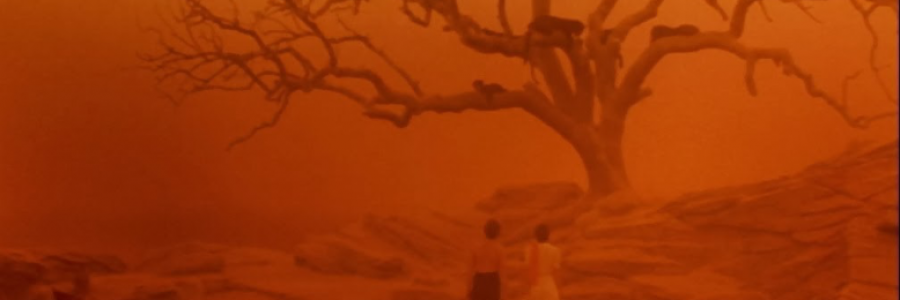 Cover image for post Magic Comes Into My Life, by Bunny