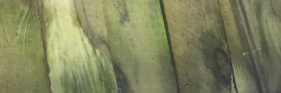 Cover image for post She Jane Run, by JamesMByers