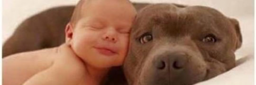 Cover image for post Possible, by Vyxyn