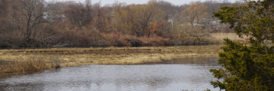 Cover image for post Words, by Ken_W_Writer