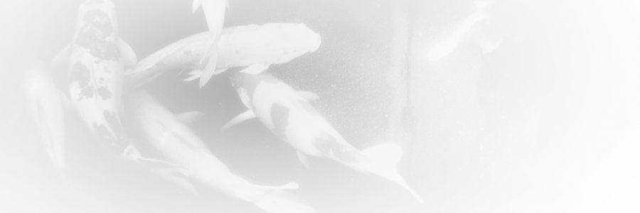 Cover image for post comfort zone, by zikeda