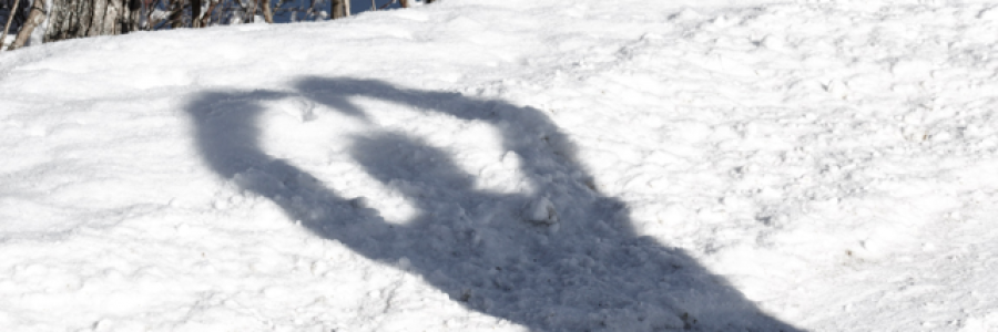 Cover image for post Sometimes, by Justbrainstatic