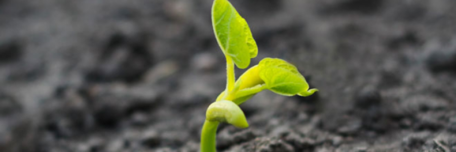 Cover image for post Life, by life1998