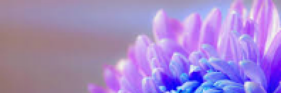 Cover image for post Beautifully imperfect, by FlowerOfFlames