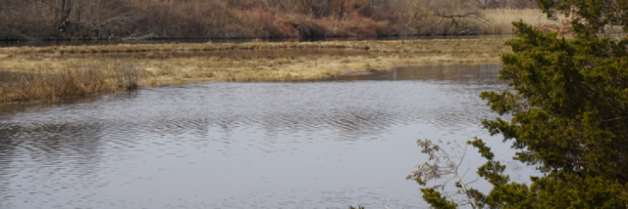 Cover image for post Sex on the Beach, by Ken_W_Writer