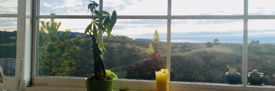 Cover image for post Another week, by Etch