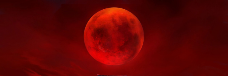 Cover image for post The Stranger, by xJenVanx