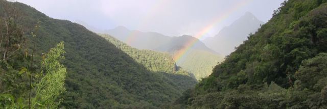 Cover image for post Peruvian, by PDB