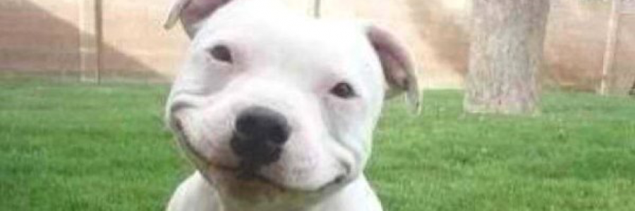 Cover image for post Angels, by Vyxyn