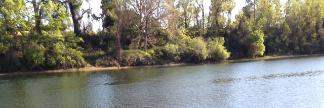 Cover image for post Sea Glass, by Cubiccoyote