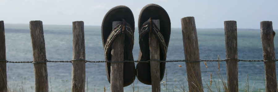 Cover image for post Bootstraps and Flip-Flops, by chainedinshadow