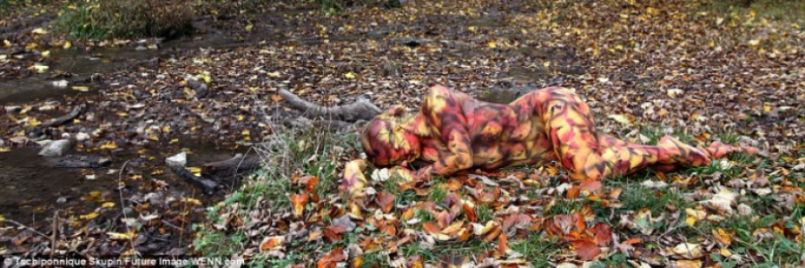 Cover image for post Freedom of the Leaves, by sandflea68