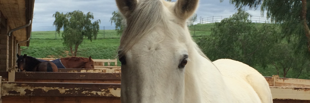 Cover image for post Untitled, by TrueFreedomLove