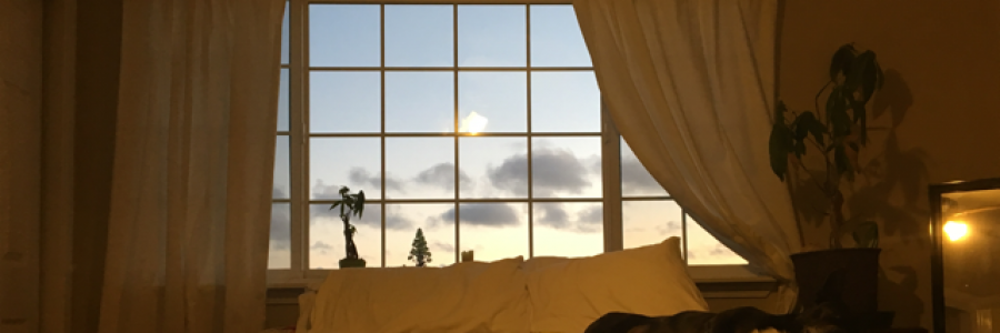 Cover image for post Angels, by Etch