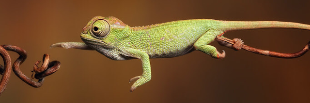 Cover image for post I'm..., by Anonnymouse