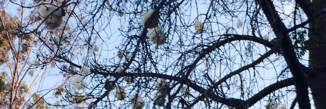 Cover image for post One Day, by Monibeloved