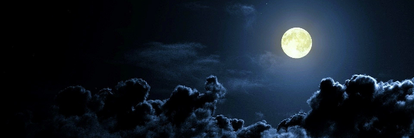 Cover image for post Dear Moon, by randomsoda