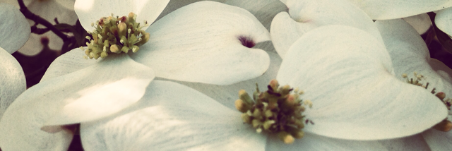 Cover image for post What I am. Who I am. , by Kathryn