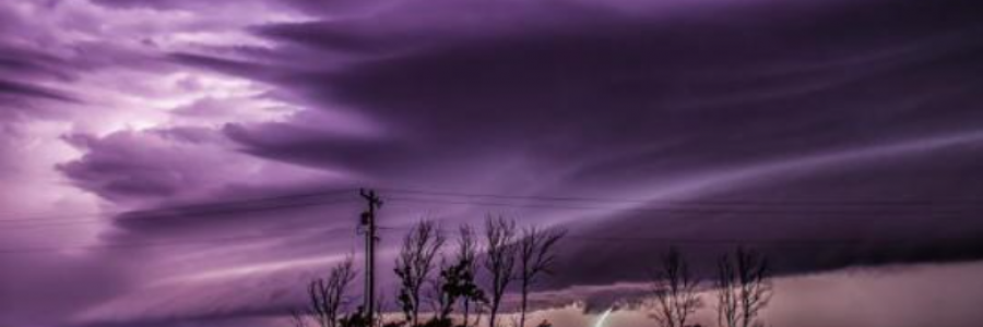 Cover image for post Prose Don't Care (It's Their Production Line, As The Whistle Blows A Forlorn Tone, And The Rich And Poor Separate Once More), by Bunny