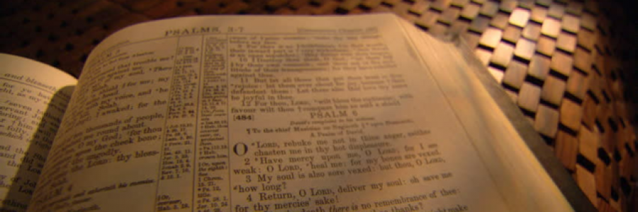 Cover image for post Untitled, by xNRx