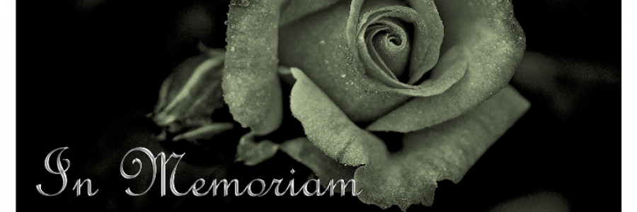 Cover image for post In Memoriam of You, by chainedinshadow