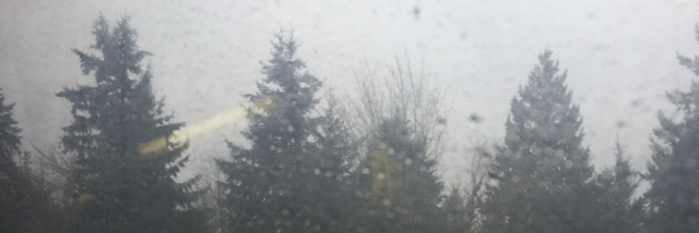 Cover image for post demons, by adrienne