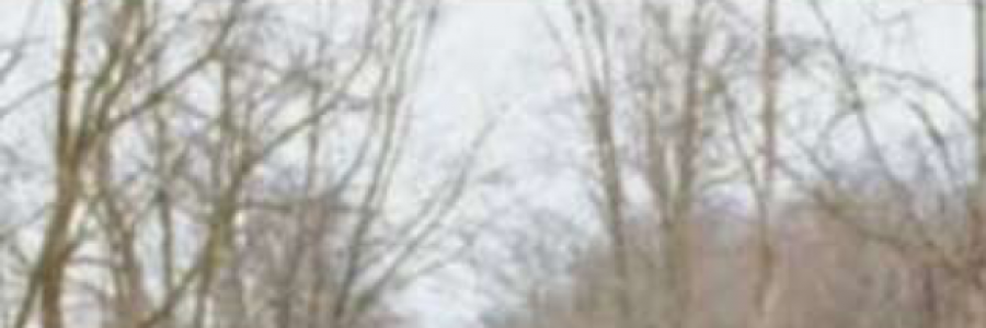 Cover image for post What Love Is., by AbbythePoet