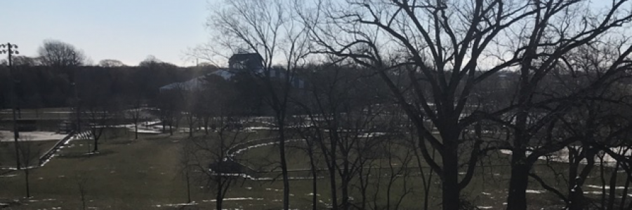 Cover image for post The Best Feeling, by AbbythePoet