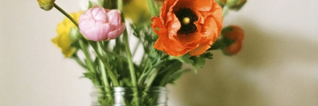 Cover image for post potted plant, by weedflowerwrite