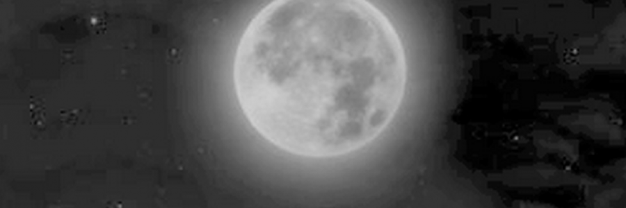 Cover image for post My Olive Song, by LunarSkies