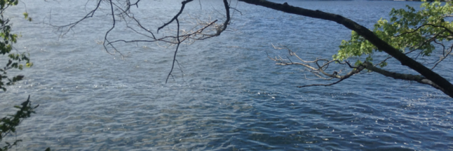 Cover image for post Mah Werds uf Wizdum, by Ken_W_Writer