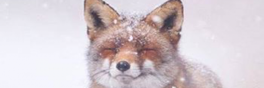 Cover image for post And now my dear the end is near..., by Vyxyn