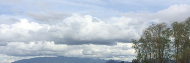 Cover image for post Happily we roll along, by 03greedoluver