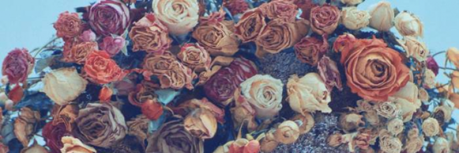 Cover image for post Return, by LaurusTet