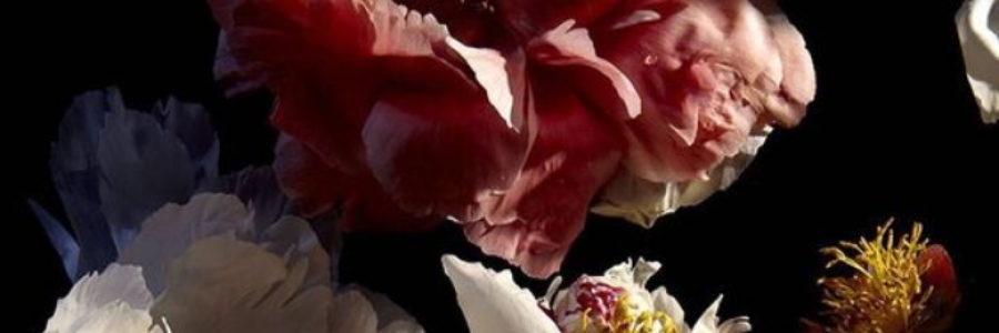 Cover image for post To Love What Is Lost, by Flamska