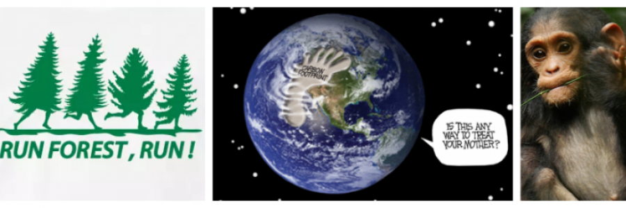 Cover image for post When Mother Nature Loses Her Patience, by n311ys