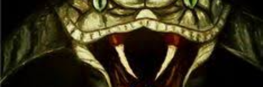 Cover image for post Wake Not the Snake, by sandflea68