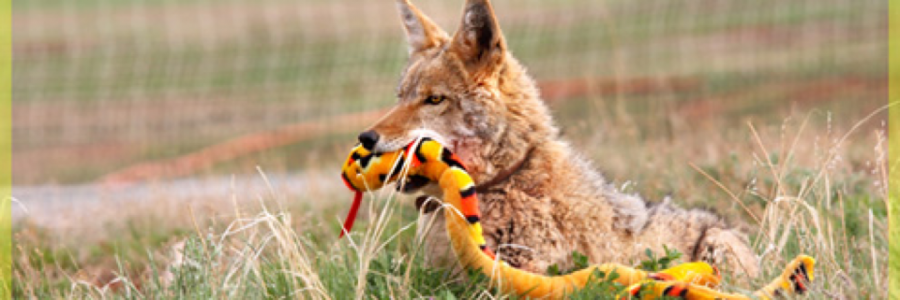 Cover image for post You would never know it but..., by Vyxyn