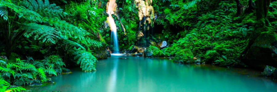 Cover image for post The Fountain of Youth, by Glace