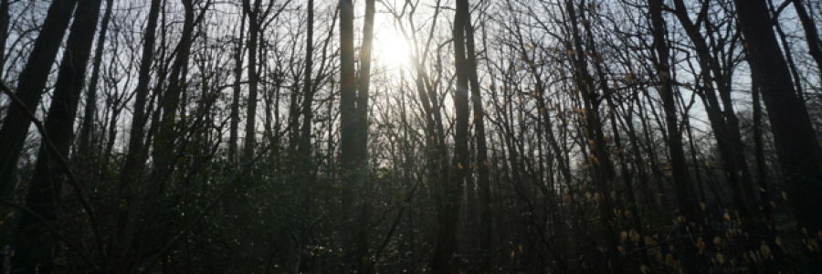 Cover image for post The Way You Look at Me, by Ken_W_Writer