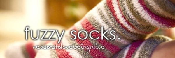 Cover image for post The Reason to Live, by Socks