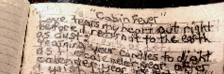 Cover image for post Cabin Fever Saves Lives, by YuvPierian