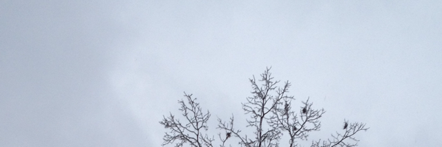 Cover image for post The Word, by Rebecca93