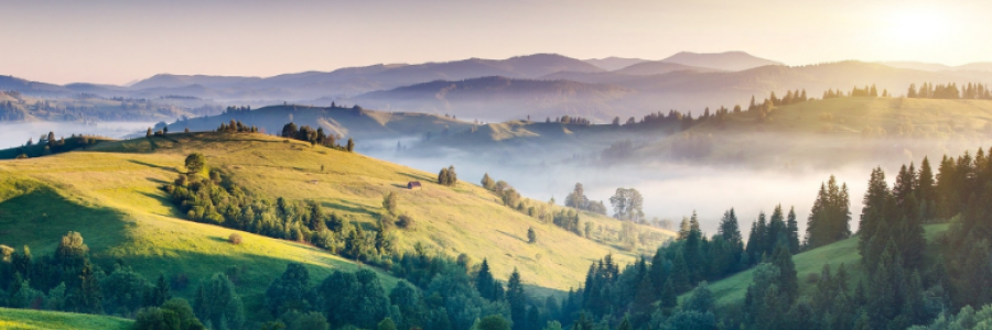 Cover image for post My Wonderland, by Clarity