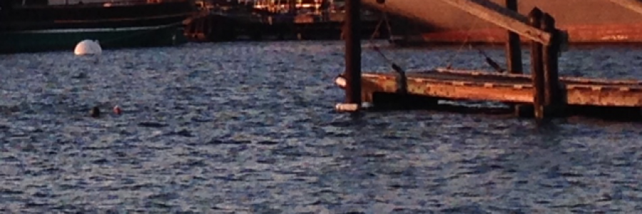 Cover image for post Living Liquid, by Beth