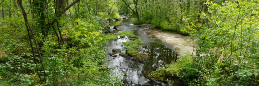 Cover image for post If I Had Known, by Ken_W_Writer