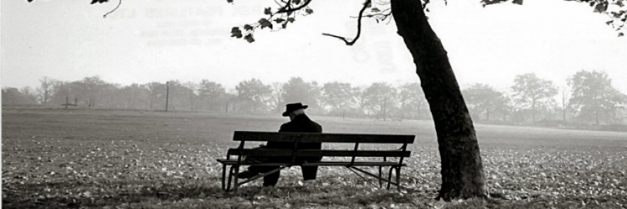 Cover image for post A Love Story Appendix, by dustygrein